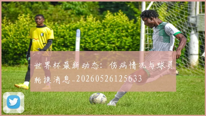 世界杯最新动态:伤病情况与球员轮换消息_20260526125633